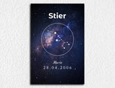 Stier
