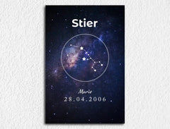 Stier